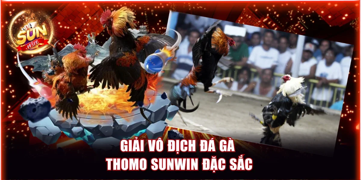 Giải vô địch Đá gà Thomo Sunwin đặc sắc