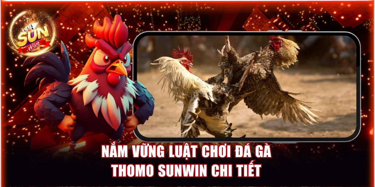 Nắm vững luật chơi Đá gà Thomo Sunwin chi tiết